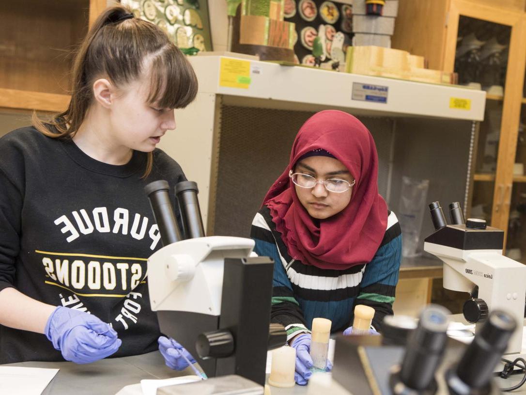 Biology students examining a slide sample on a lab microscope.